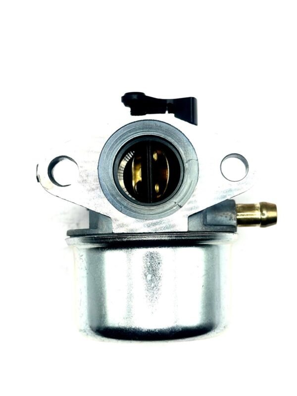 Carburetor For Briggs Stratton 498170 498254 497347 497314 799868