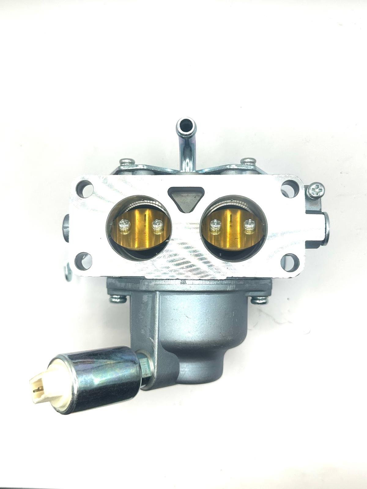 Carburetor Briggs & Stratton replaces OEM 791230 699709 799230