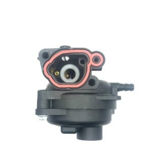 Carburetor Briggs & Stratton OEM 7590556, 799583